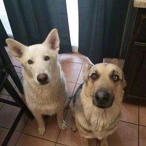 Meet your Posher, Mariah